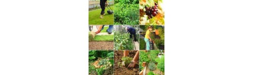 *UTENSILI MANUALI PER GIARDINAGGIO,ORTO,CASA, IDEE E ACCESSORI