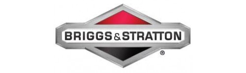 BRIGGS & STRATTON  (B&S) MOTORI E RICAMBI 